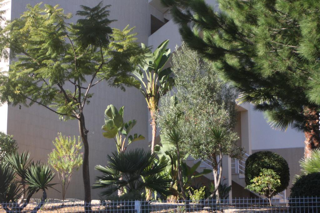 Albufeira Lovely New Apartment W/ Pool Exterior foto